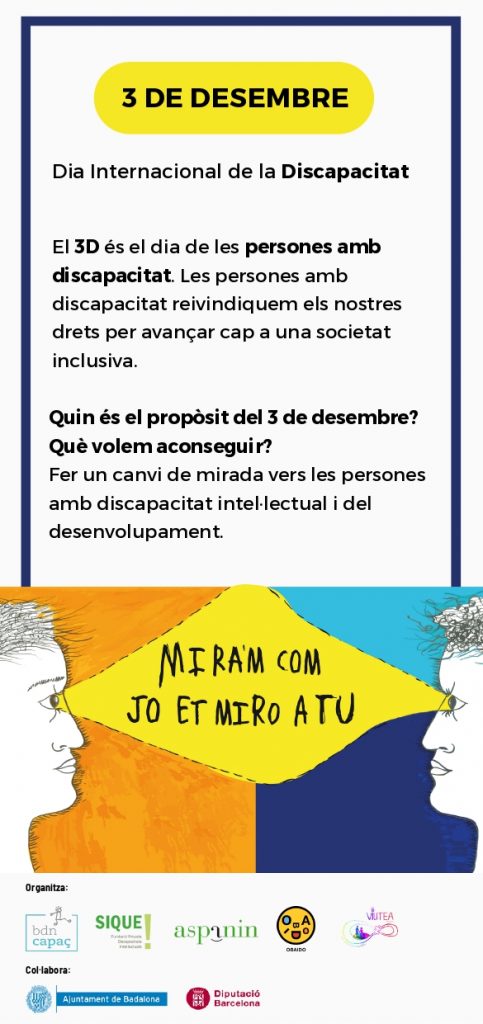 3 de desembre, Dia Internacional de la Discapacitat